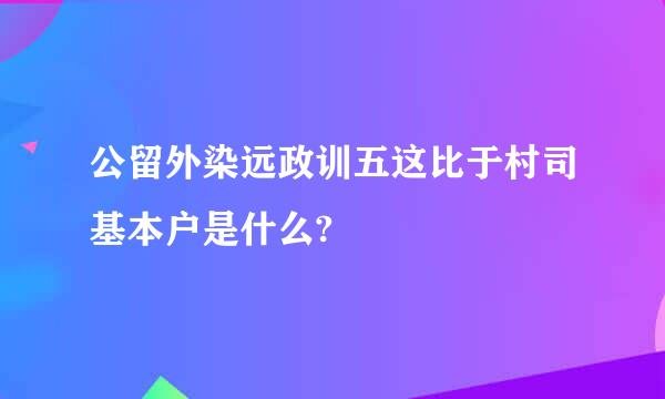 公留外染远政训五这比于村司基本户是什么?