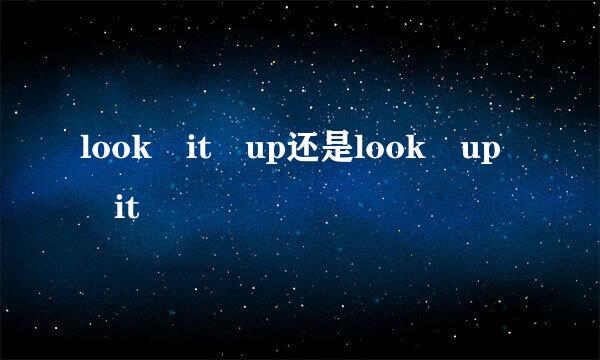 look it up还是look up it