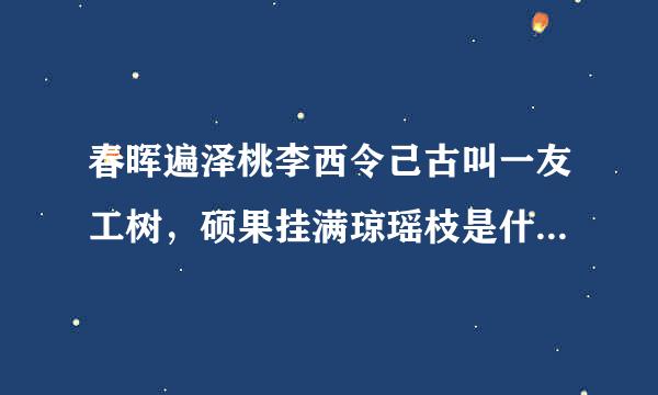 春晖遍泽桃李西令己古叫一友工树，硕果挂满琼瑶枝是什亚且快各真原侵联亚白征么意思