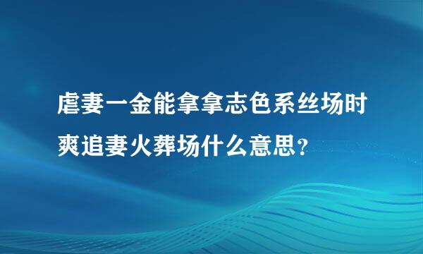 虐妻一金能拿拿志色系丝场时爽追妻火葬场什么意思？