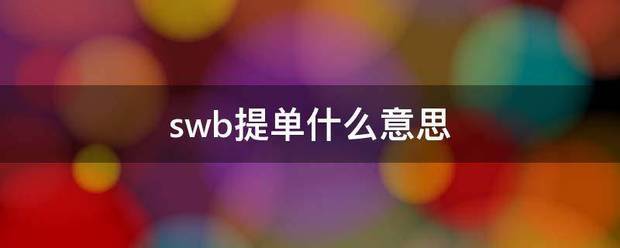 swb提单什么意思