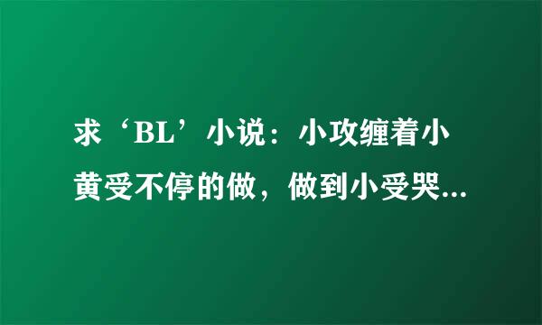 求‘BL’小说：小攻缠着小黄受不停的做，做到小受哭了还在做。有一点点虐心但不要虐身，情节感强一点，比