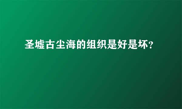 圣墟古尘海的组织是好是坏？