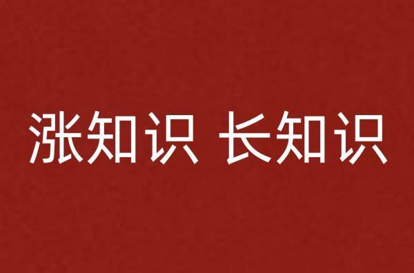 涨知识还是长知识哪个正确?