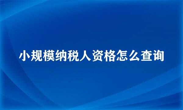 小规模纳税人资格怎么查询