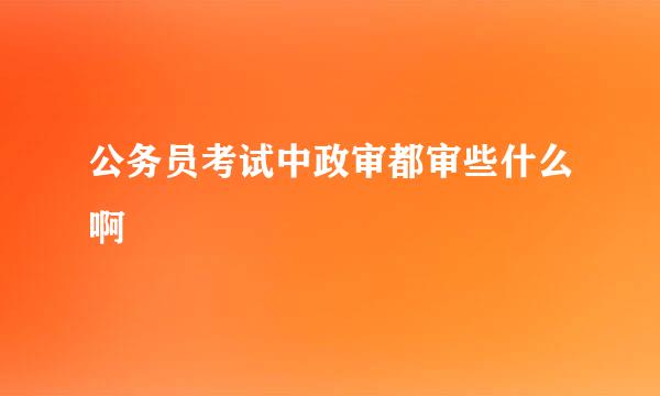 公务员考试中政审都审些什么啊