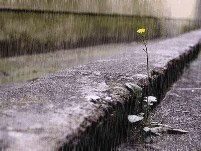 小雨滴发出的而受顺重市负资席声音有哪些？