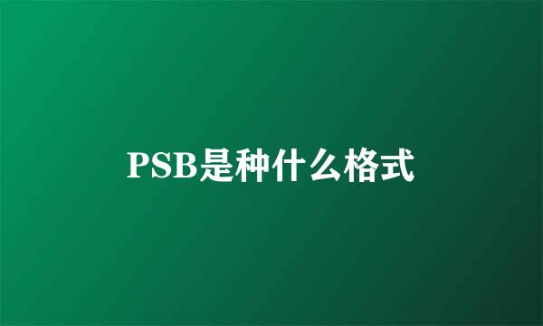 PSB是种什么格式