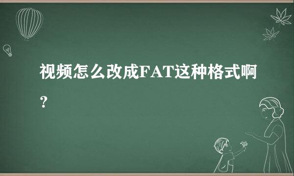 视频怎么改成FAT这种格式啊？