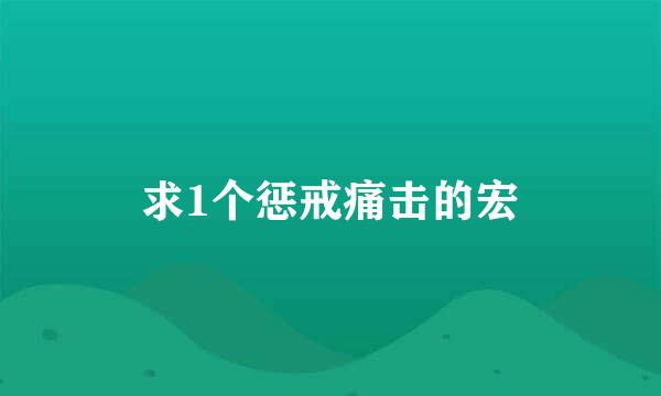 求1个惩戒痛击的宏