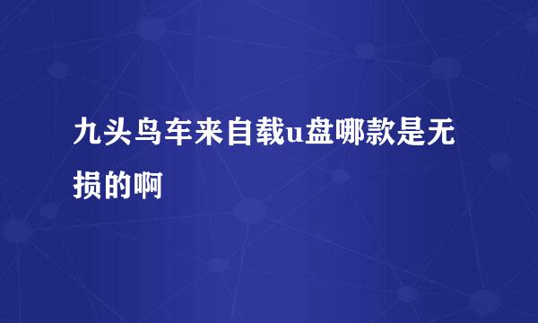 九头鸟车来自载u盘哪款是无损的啊