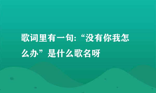 歌词里有一句:“没有你我怎么办”是什么歌名呀