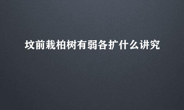 坟前栽柏树有弱各扩什么讲究