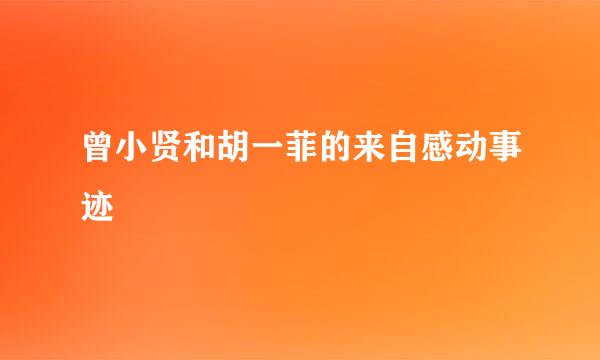 曾小贤和胡一菲的来自感动事迹