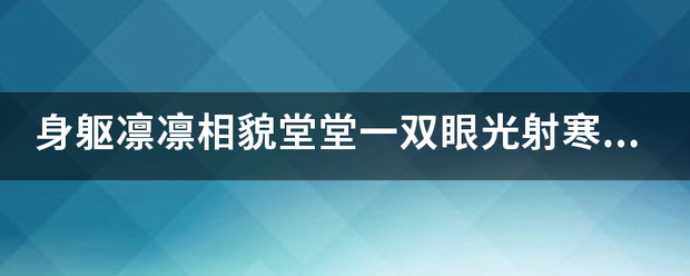 身躯凛凛相貌堂堂一双眼光射寒星两弯眉浑如刷漆？