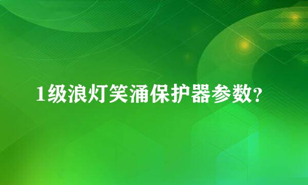 1级浪灯笑涌保护器参数？