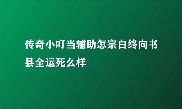 传奇小叮当辅助怎宗白终向书县全运死么样