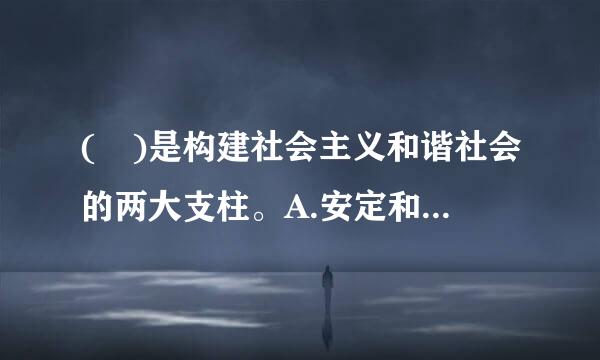 ( )是构建社会主义和谐社会的两大支柱。A.安定和有序来自B.民主和法治C.诚信和友爱D.公平和正义