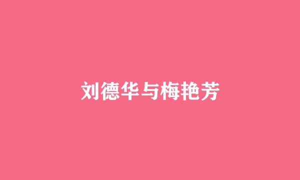 刘德华与梅艳芳