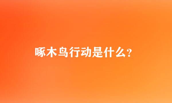 啄木鸟行动是什么？