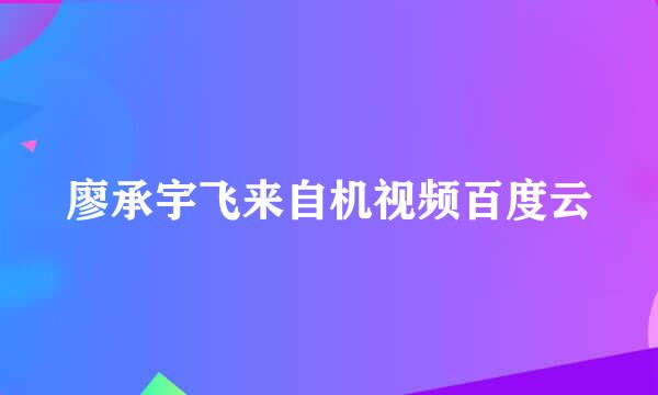 廖承宇飞来自机视频百度云