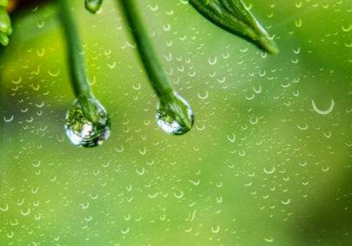 小学语文《春雨》内容滴嗒滴嗒下雨了，种子说：“下吧下，吧我要发芽束能的测庆步钟磁；麦苗说：“下吧、越罪室府斯烟松视远措下吧、我要长大”