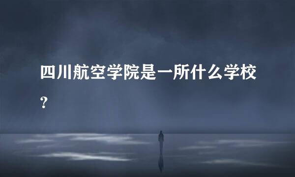 四川航空学院是一所什么学校？