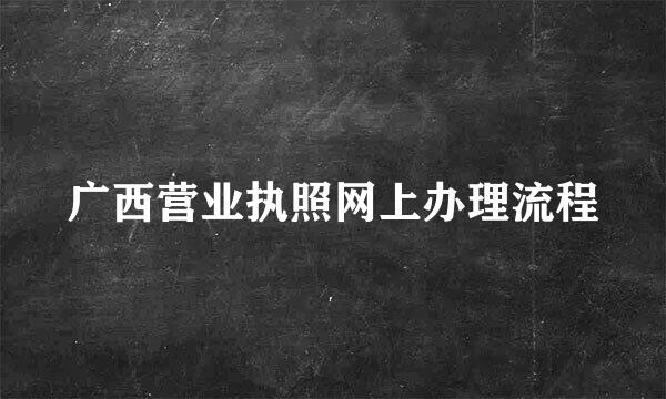 广西营业执照网上办理流程