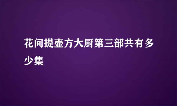 花间提壶方大厨第三部共有多少集