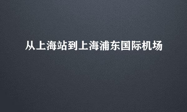 从上海站到上海浦东国际机场