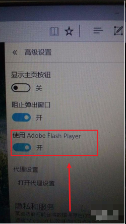 Win10专业版的Flash Player 不能用怎么破？