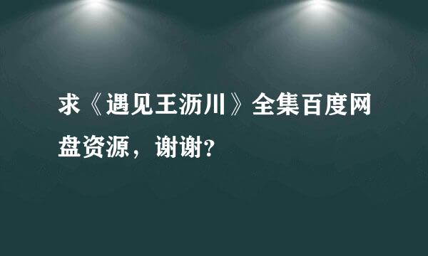 求《遇见王沥川》全集百度网盘资源，谢谢？