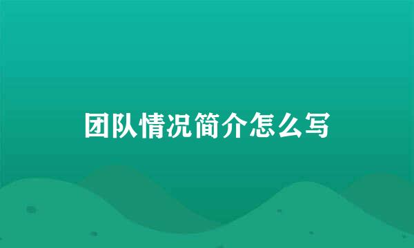 团队情况简介怎么写