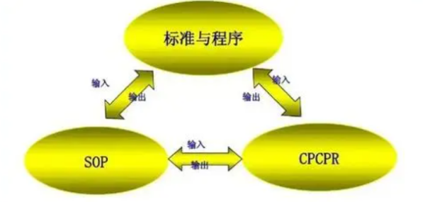 sop标准作业流程模板是什么？