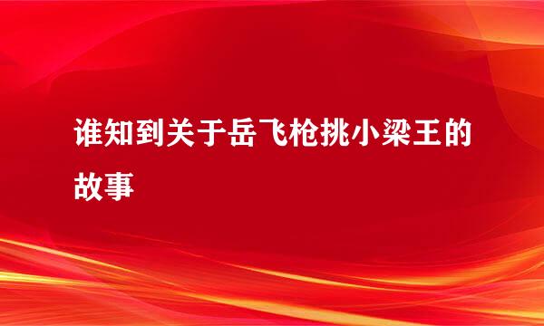 谁知到关于岳飞枪挑小梁王的故事