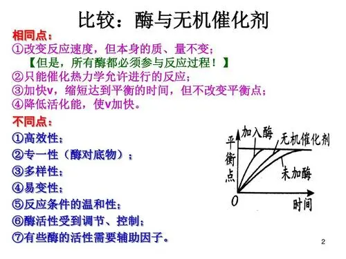 酶的比活力是什么？