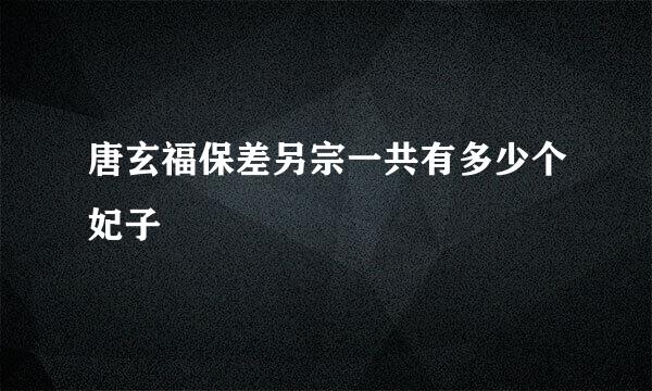 唐玄福保差另宗一共有多少个妃子