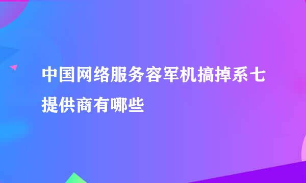 中国网络服务容军机搞掉系七提供商有哪些