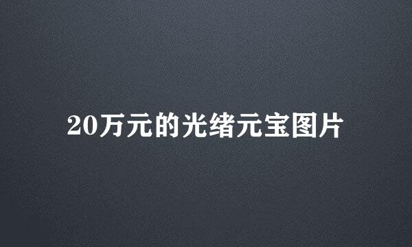 20万元的光绪元宝图片