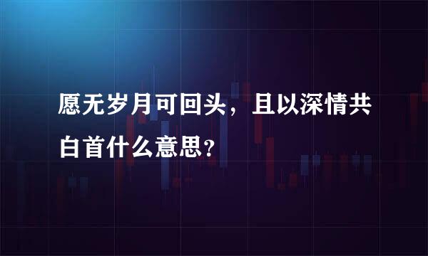 愿无岁月可回头，且以深情共白首什么意思？