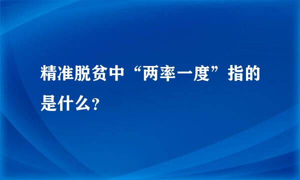 精准脱贫中“两率一度”指的是什么？