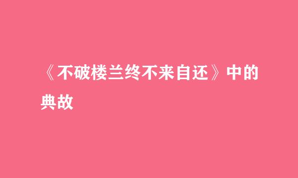 《不破楼兰终不来自还》中的典故