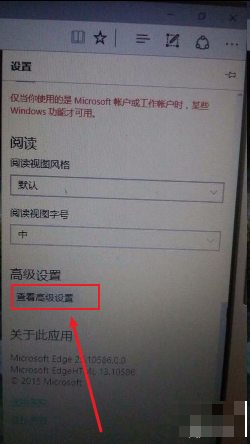 Win10专业版的Flash Player 不能用怎么破？