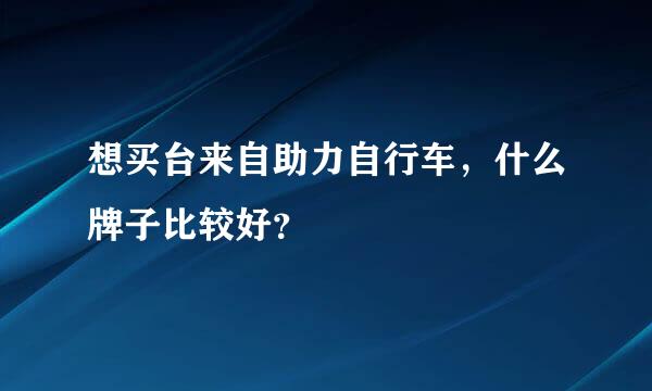 想买台来自助力自行车，什么牌子比较好？