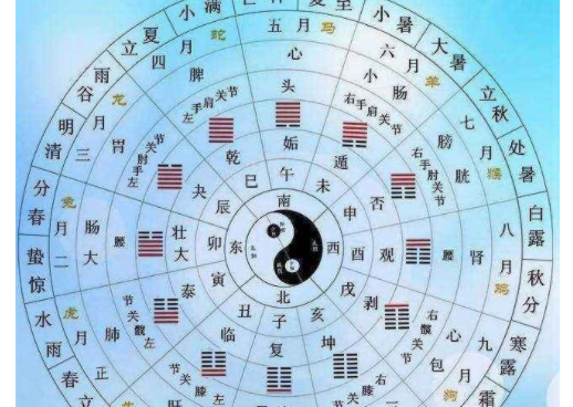 子午流注时间表是什么?