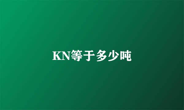 KN等于多少吨