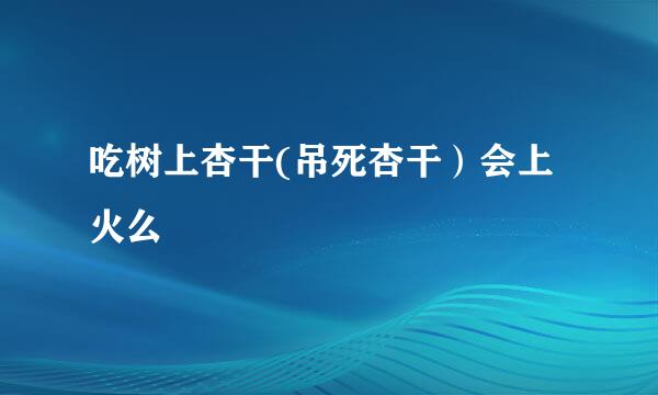 吃树上杏干(吊死杏干）会上火么