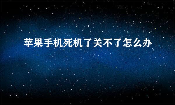 苹果手机死机了关不了怎么办