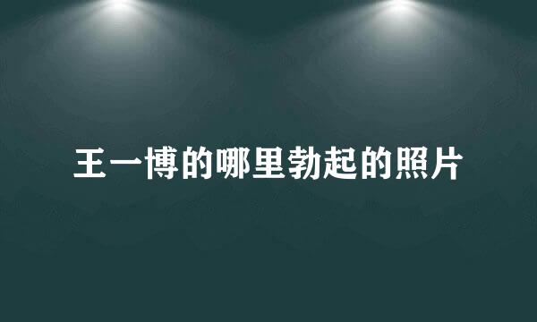 王一博的哪里勃起的照片