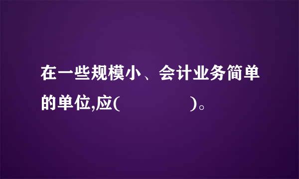 在一些规模小、会计业务简单的单位,应(    )。